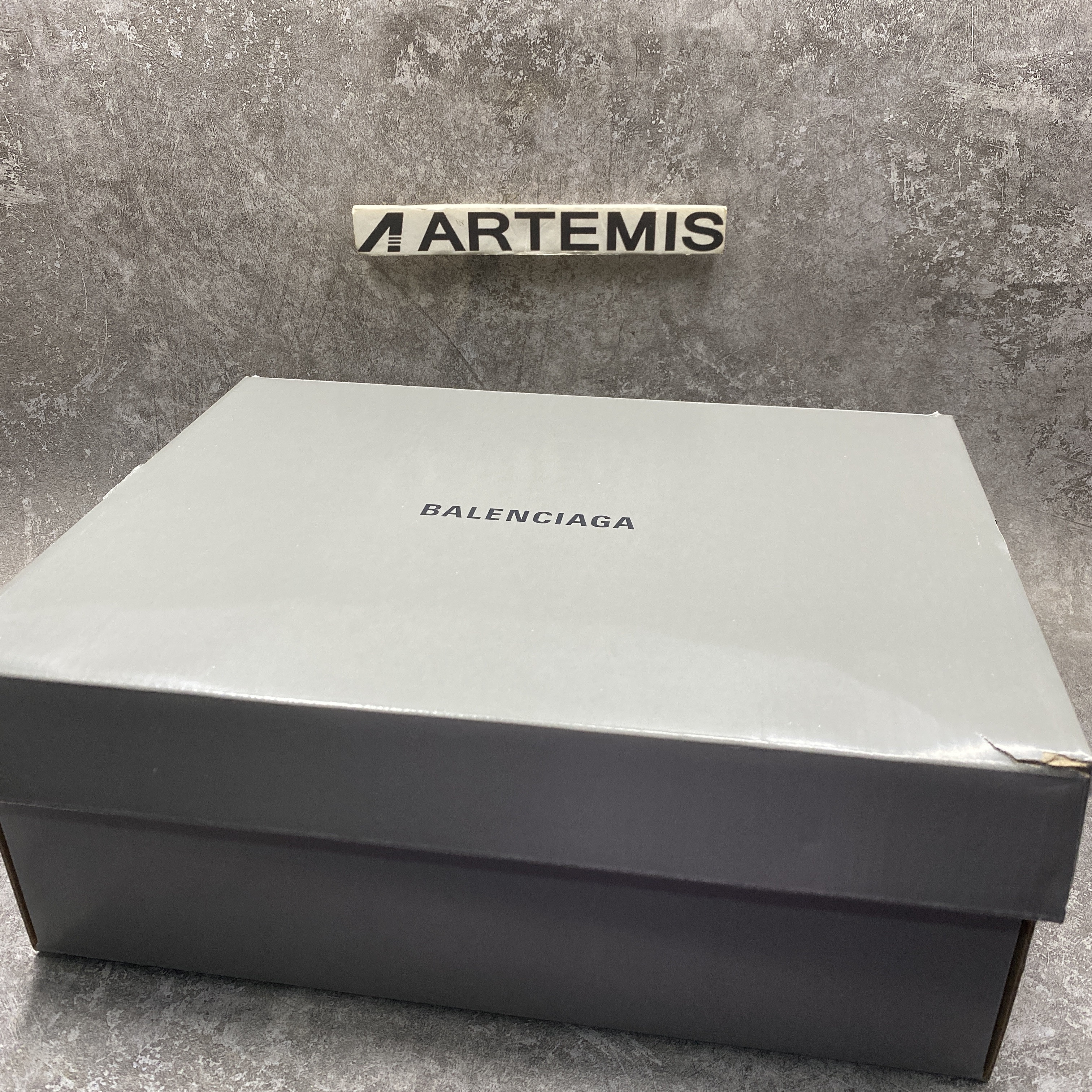 Balenciga X-Pander Wedge Sneakers