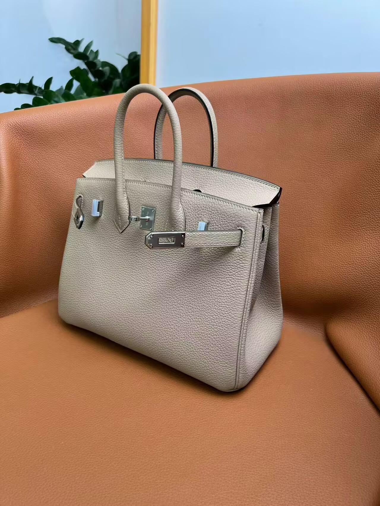Hermès Birkin 25